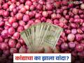 ठेवला तर सडतोय अन् विकला की रडवतोय; कांद्याचा का झाला वांदा? - Marathi News | If you keep it, it rots, and if you sell it, it makes you cry; | Latest agriculture News at Lokmat.com