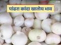Kanda Bajar Bhav : 'या' दोन बाजार समित्या वगळता राज्यात कांदा दर स्थिर; वाचा आजचे कांदा बाजारभाव - Marathi News | Kanda Bazaar Bhav: Onion prices stable in the state except for 'these' two market committees; Read today's onion market prices | Latest agriculture News at Lokmat.com