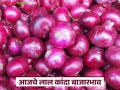 सोलापूर बाजारात लाल तर नागपूर येथे पांढऱ्या कांद्याची सर्वाधिक आवक; वाचा आजचे कांदा बाजारभाव - Marathi News | Red onions received the most in Solapur market, while white onions received the most in Nagpur; Read today's onion market price | Latest agriculture News at Lokmat.com