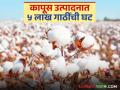 यंदाच्या उत्पादनात ५ लाख गाठींची घट परिणामी कापसाचे दर वधारले; वाचा उत्पादन अन् बाजाराची सविस्तर माहिती - Marathi News | Cotton prices have increased due to a decrease of 5 lakh bales in this year's production; Read detailed information on production and market | Latest agriculture News at Lokmat.com
