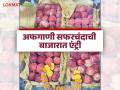 यंदा इराणहून थेट समुद्रमार्गे अफगाणी सफरचंद फळबाजारात दाखल; वाचा काय मिळतोय दर - Marathi News | Afghan apples have entered the fruit market directly from Iran by sea this year; Read what the prices are | Latest agriculture News at Lokmat.com