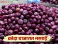 Onion Market Rate : कांदा बाजारात नरमाई; वाचा राज्यात आज काय मिळतोय कांद्याला दर - Marathi News | Onion Market Rate: Onion market is soft; Read what is the price of onion in the state today | Latest agriculture News at Lokmat.com