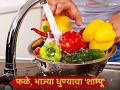 फळे, भाज्या धुण्याचे आता टेन्शनच नको! वापरा हा घरच्या घरी तयार करता येणारा 'शाम्पू' - Marathi News | No more stress about washing fruits and vegetables! Use this homemade 'shampoo' | Latest agriculture News at Lokmat.com