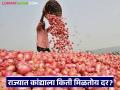 Kanda Bajar Bhav : कमी अधिक आवकेचा दरांवर पडतोय का फरक? वाचा आजचे कांदा बाजारभाव - Marathi News | Kanda Bazaar Bhav: Is there a difference in prices due to less or more arrivals? Read today's onion market price | Latest agriculture News at Lokmat.com
