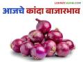 Kanda Bajar Bhav : राज्यात कांद्याला काय मिळतोय दर; वाचा आजचे कांदा बाजारभाव - Marathi News | Kanda Bazaar Bhav: What is the price of onion in the state; Read today's onion market price | Latest agriculture News at Lokmat.com