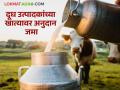 सव्वापाच लाख दूध उत्पादकांच्या खात्यावर १३२७ कोटींचे अनुदान जमा; वाचा सविस्तर वृत्त - Marathi News | 1327 crores in subsidy deposited in the accounts of 5.25 lakh milk producers; Read detailed news | Latest agriculture News at Lokmat.com