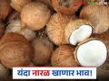 दक्षिण भारतातून नारळाची आवक मंदावल्याने किमतीत वाढ; शेतमाल बाजार काहीअंशी स्थिर - Marathi News | Prices increase due to slow arrival of coconuts from South India; Agricultural market somewhat stable | Latest agriculture News at Lokmat.com