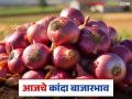 Kanda Bajar Bhav : 'पिंपळगाव बसवंत'चा पोळ कांदा ठरतोय लाल कांद्याला भारी; वाचा आजचे कांदा बाजारभाव - Marathi News | Kanda Bazaar Bhav: 'Pimpalgaon Baswant's' yellow onion is becoming more expensive than red onion; Read today's onion market price | Latest agriculture News at Lokmat.com