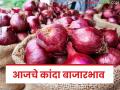 उन्हाळ, पांढरा, लाल, चिंचवड कोणता कांदा खातोय भाव; वाचा आजचे कांदा बाजारभाव - Marathi News | Summer, white, red, Chinchwad, which onion is being eaten at what price; Read today's onion market price | Latest agriculture News at Lokmat.com