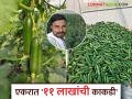 Success Story : काकडीच्या पिकातून घेतले एकरी ११ लाख रुपयांचे उत्पन्न; जोगदंड कुटुंबाने साधली प्रगती - Marathi News | Success Story: Income of Rs 11 lakh per acre from cucumber crop; Jogdand family makes progress | Latest agriculture News at Lokmat.com