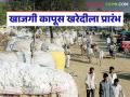 राळेगावात खाजगी कापूस खरेदीला शुभारंभ; पहिल्याच दिवशी दाखल झाली तब्बल २०० वाहने - Marathi News | Private cotton procurement begins in Ralegaon; 200 vehicles arrive on the first day | Latest agriculture News at Lokmat.com