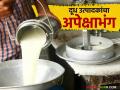 नोटीसनंतरही सुधारणा नसल्याने दूध उत्पादकांचा सोलापूर संघाकडून अपेक्षाभंग; वाचा काय आहे प्रकरण - Marathi News | Milk producers' expectations from Solapur Sangh have been disappointed as there has been no improvement even after the notice; Read what is the matter | Latest agriculture News at Lokmat.com