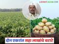 मानवतच्या लक्ष्मणरावांनी ऑनलाईन धडे घेत यशस्वी केली बटाटा शेती; दोन एकरांत सहा लाखांची कमाई - Marathi News | Laxmanrao of Manavat took online lessons and became successful in potato farming; earned Rs. 6 lakhs from two acres | Latest agriculture News at Lokmat.com