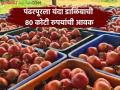 Pandharpur Market : पंढरपूर कृषी उत्पन्न बाजार समितीची ५२८ कोटींची यंदा वार्षिक उलाढाल - Marathi News | Pandharpur Market : 528 crore annual turnover of Pandharpur Agricultural Produce Market Committee this year | Latest agriculture News at Lokmat.com