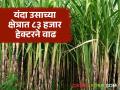 सोलापूर जिल्ह्यातील ३८ साखर कारखाने यंदा गाळपासाठी सज्ज; उच्चांकी दोन लाख बारा हजार ऊस क्षेत्र - Marathi News | 38 sugar factories in Solapur district ready for crushing this year; Sugarcane area reaches a record high of 2 lakh 12 thousand | Latest agriculture News at Lokmat.com