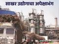 Sugar Industry : अर्थसंकल्पातून साखर उद्योगाचा काहीसा अपेक्षाभंग; वाचा सविस्तर वृत्त - Marathi News | Sugar Industry: Budget somewhat disappointing for sugar industry; Read detailed news | Latest agriculture News at Lokmat.com