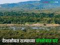Forest Area In Maharashtra : सन २०२३ चा राष्ट्रीय वन अहवाल; देशात २१ तर महाराष्ट्रात केवळ १६ टक्के वनक्षेत्र शिल्लक - Marathi News | Forest Area In Maharashtra: National Forest Report 2023; 21 percent forest area remains in the country, while only 16 percent remains in Maharashtra | Latest agriculture News at Lokmat.com