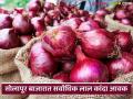 राज्याच्या बाजारात लाल कांदा खातोय का भाव? वाचा आजचे कांदा बाजारभाव - Marathi News | Why is the price of red onion going up in the state market? Read today's onion market price | Latest agriculture News at Lokmat.com