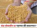 Soybean Market Update : यंदा सोयाबीन दर पडणार की सावरणार? - Marathi News | Soybean Market Update: Will soybean prices fall or recover this year? | Latest agriculture News at Lokmat.com