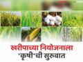 शेतकऱ्यांची यंदा सुद्धा राहणार का मका, कापूस अन् सोयाबीनला पसंती? वाचा काय सांगतोय कृषी विभागाचा अंदाज - Marathi News | | Latest agriculture News at Lokmat.com