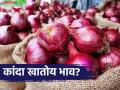 राज्याच्या बाजारात कांदा खातोय का भाव? वाचा आजचे उन्हाळ कांदा बाजारभाव - Marathi News | Are onion prices going up in the state market? Read today's summer onion market price | Latest agriculture News at Lokmat.com