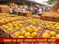 वाशी बाजार समितीत ९४ हजार आंब्याच्या पेट्यांची आवक; गतवर्षीच्या तुलनेत मात्र प्रमाण कमी - Marathi News | 94 thousand boxes of mangoes arrive at Vashi Market Committee; However, the quantity is less than last year | Latest agriculture News at Lokmat.com