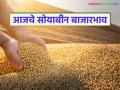 राज्याच्या शेतमाल बाजारात सोयाबीन दराची काय आहे स्थिती? वाचा आजचे सोयाबीन - Marathi News | What is the status of soybean prices in the state's agricultural market? Read Today's Soybean | Latest agriculture News at Lokmat.com
