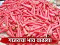 कराडच्या भाजी मंडईमध्ये गाजराचा भाव वाढला; वाचा काय मिळतोय दर - Marathi News | Carrot prices have increased in Karad's vegetable market; Read what the price is being offered | Latest agriculture News at Lokmat.com