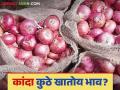Kanda Bajar Bhav : नाशिकच्या लाल कांद्याला काय मिळतोय दर; वाचा आजचे कांदा बाजारभाव - Marathi News | Kanda Bazaar Bhav: What is the price of Nashik's red onion? Read today's onion market price | Latest agriculture News at Lokmat.com