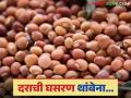 Tur Bajar Bhav : तूर बाजारात दराची घसरण सुरूच; शेतकरी संतप्त - Marathi News | Tur Bajar Bhav: Tur market prices continue to fall; Farmers angry | Latest agriculture News at Lokmat.com