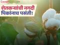 राज्यातील 'या' जिल्ह्याचा यंदा मूग, उडदाचा पेरा घटला; सोयाबीन, कापूस, तुरीचे क्षेत्र वाढले - Marathi News | This year, the sowing of moong and urad in this district of the state has decreased; the area under soybean, cotton and tur has increased | Latest agriculture News at Lokmat.com