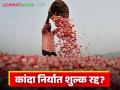 Kanda Niryat Shulk : कांदा निर्यात शुल्क रद्द करण्यासाठी सरकारने उचलले मोठे पाऊल - Marathi News | Kanda Niryat Shulk: Government takes big step to abolish onion export duty | Latest agriculture News at Lokmat.com