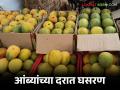 अक्षय्य तृतीयेनंतर आंब्याचे दर निम्म्याने कमी; कोकण, कर्नाटकातून येत असलेल्या आंब्याला वाचा किती मिळतोय दर - Marathi News | Mango prices cut by half after Akshaya Tritiya; Read how much price mangoes coming from Konkan and Karnataka are getting | Latest agriculture News at Lokmat.com