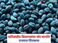 राज्यात प्रतिबंधित असलेल्या कपाशीच्या एचटीबीटी बियाण्यांचा वर्धा जिल्ह्यात शिरकाव; यंदा लागवड क्षेत्र वाढणार का? - Marathi News | HTBT cotton seeds banned in the state have entered Wardha district; Will the cultivation area increase this year? | Latest agriculture News at Lokmat.com