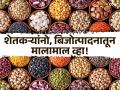 शेतकऱ्यांनो, खरेदीदार नव्हे बीज विक्रेते व्हा; मालामाल बना! - Marathi News | Farmers, be seed sellers, not buyers; Be rich! | Latest agriculture News at Lokmat.com