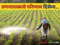 Fake Herbicide तणनाशक औषधीने केला शेतकऱ्यांचा घात; तणनाशक फवारणीचे परिणाम दिसेना - Marathi News | Fake Herbicide herbicides cheated with Farmers; The results of herbicide spraying were not observed | Latest agriculture News at Lokmat.com