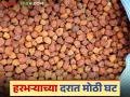 हरभऱ्याच्या दरात मोठी घट तर गव्हाच्या दरात वाढ; वाचा शेतमाल बाजाराची काय आहे स्थिती - Marathi News | Big drop in gram prices, increase in wheat prices; Read what is the situation in the agricultural market | Latest agriculture News at Lokmat.com