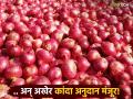 कांदा अनुदानाचा मार्ग मोकळा; 'त्या' शेतकऱ्यांना ५२ लाख ७१ हजार ६४४ रुपयांचे कांदा अनुदान अखेर मंजूर - Marathi News | The way for onion subsidy is clear; Onion subsidy of Rs 52 lakh 71 thousand 644 has finally been approved for 'those' farmers | Latest agriculture News at Lokmat.com