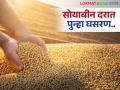 दरात घसरण झाल्याने शेतकऱ्यांनी घेतला सोयाबीनची विक्री रोखत सावधगिरीचा पवित्रा; आवकेत घट - Marathi News | Farmers take precautionary measures by stopping soybean sales due to fall in prices; decrease in arrivals | Latest agriculture News at Lokmat.com