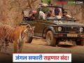 पावसाळ्यामुळे १ जुलैपासून 'या' तारखेपर्यंत पर्यटकांसाठी ताडोबा जंगल सफारी राहणार बंद - Marathi News | Tadoba Jungle Safari will be closed for tourists from July 1st till 'this' date due to monsoon | Latest agriculture News at Lokmat.com