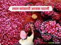 Onion Market Rate : बाजारात नाशिकच्या कांद्याचा दबदबा; वाचा काय मिळतोय दर - Marathi News | Onion Market Rate: Nashik's onion dominates the market; Read what rates are available | Latest agriculture News at Lokmat.com