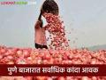 Onion Market Rate : राज्यात आज केवळ 'या' दोन बाजारात उन्हाळ कांद्याची आवक; वाचा काय मिळतोय दर - Marathi News | Onion Market Rate: Inflow of summer onion in these two markets in the state today; Read what rates are available | Latest agriculture News at Lokmat.com