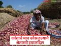 कांद्याचे भाव कोसळल्याने उत्पादक झाले हवालदिल; अनुदान जाहीर करण्याची शेतकऱ्यांची मागणी - Marathi News | Producers are worried as onion prices fall; Farmers demand subsidy | Latest agriculture News at Lokmat.com