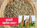 राज्याच्या 'या' दोन बाजारात बाजरी खातेय सर्वाधिक भाव; वाचा सविस्तर - Marathi News | Millet prices are highest in these two markets of the state; Read in detail | Latest agriculture News at Lokmat.com
