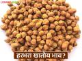 राज्याच्या बाजारात हरभरा खातोय का भाव? वाचा आजचे हरभरा बाजारभाव - Marathi News | Why is gram price going up in the state market? Read today's gram market price | Latest agriculture News at Lokmat.com