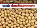 Soybean Market Rate : मराठवाड्यात आवक कमी; वाचा सोयाबीनला काय मिळतोय दर - Marathi News | Soybean Market Rate: Low arrivals in Marathwada; Read what price soybeans are getting | Latest agriculture News at Lokmat.com