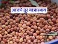 Pigeon Pea Market Rate : राज्यात तुरीला काय मिळतोय दर? वाचा आजचे तूर बाजारभाव - Marathi News | Pigeon Pea Market Rate: What is the price of pigeon pea in the state? Read today's pigeon pea market rate | Latest agriculture News at Lokmat.com