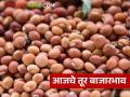 राज्याच्या तूर बाजारात कुठे किती दर? वाचा आजचे तूर बाजारभाव - Marathi News | What is the market price of tur in the state? Read today's tur market price | Latest agriculture News at Lokmat.com