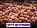 Tur Bajar Bhav : तूर बाजाराची राज्यात काय आहे स्थिती? वाचा आजचे तूर बाजारभाव - Marathi News | What is the status of the tur market in the state? Read today's tur market price | Latest agriculture News at Lokmat.com