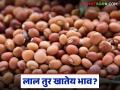 सोयाबीन आणि तूर बाजाराची राज्यात काय आहे स्थिती? जाणून घ्या सविस्तर - Marathi News | What is the status of soybean and tur market in the state? Know in detail | Latest agriculture News at Lokmat.com